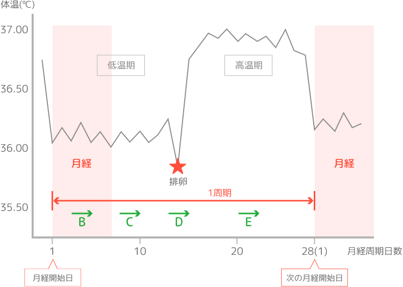 基礎検査